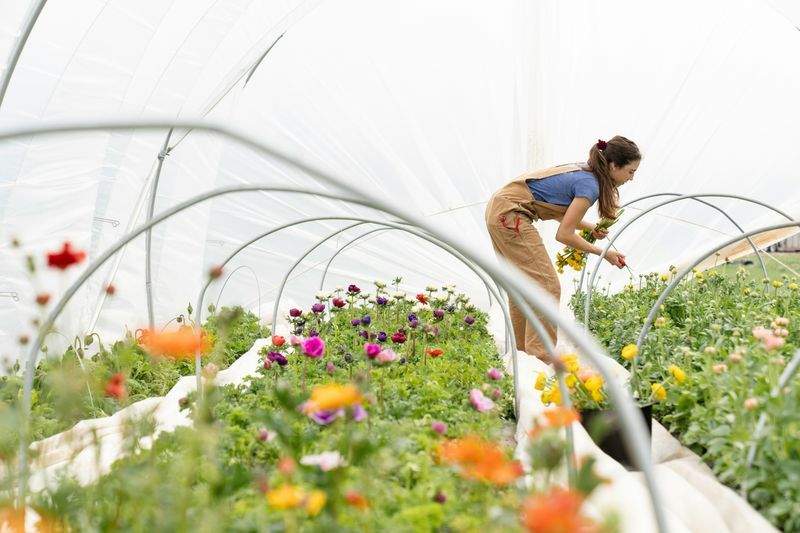 観葉植物の設置・メンテナンス